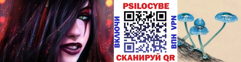 Купить  Бирюч  Псилоцибиновые грибы мухоморы 